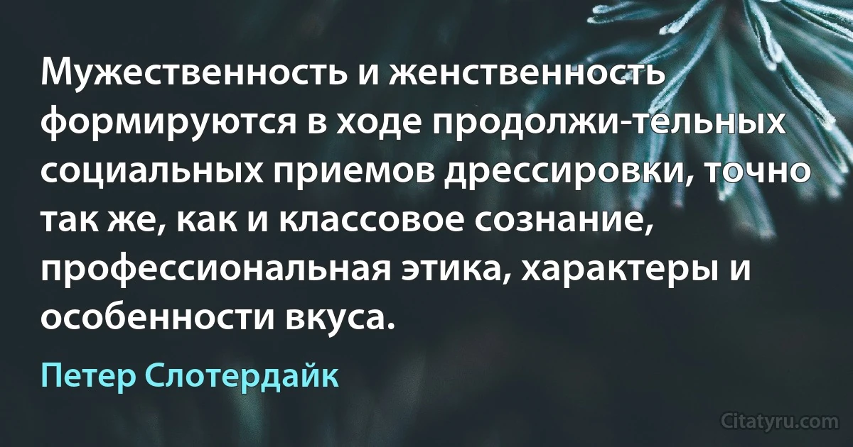 Мужественность и женственность формируются в ходе продолжи­тельных социальных приемов дрессировки, точно так же, как и классовое сознание, профессиональная этика, характеры и особенности вкуса. (Петер Слотердайк)