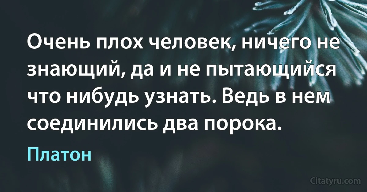 Очень плох человек, ничего не знающий, да и не пытающийся что нибудь узнать. Ведь в нем соединились два порока. (Платон)