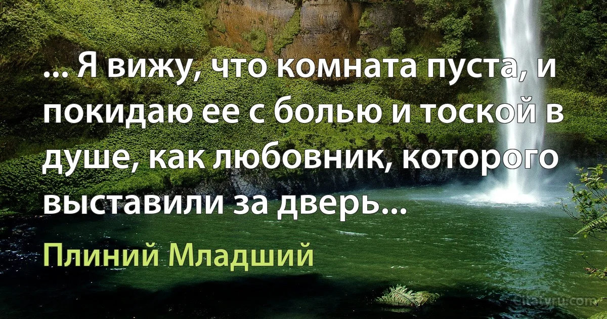 ... Я вижу, что комната пуста, и покидаю ее с болью и тоской в душе, как любовник, которого выставили за дверь... (Плиний Младший)