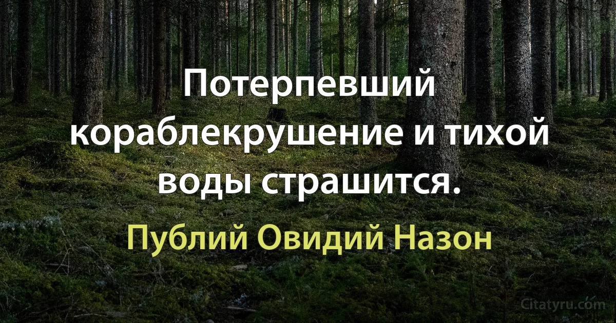 Потерпевший кораблекрушение и тихой воды страшится. (Публий Овидий Назон)