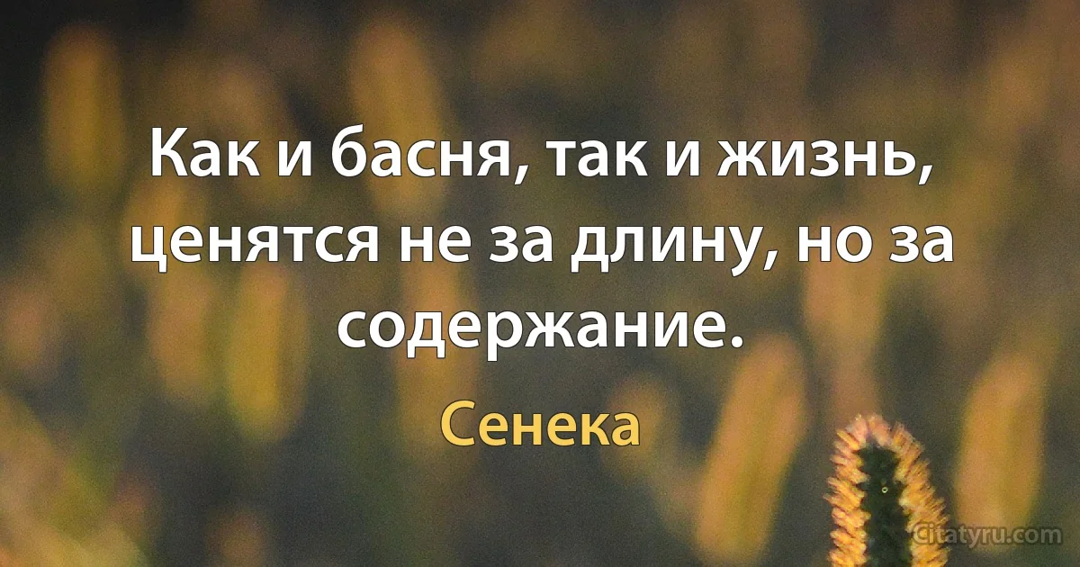 Как и басня, так и жизнь, ценятся не за длину, но за содержание. (Сенека)