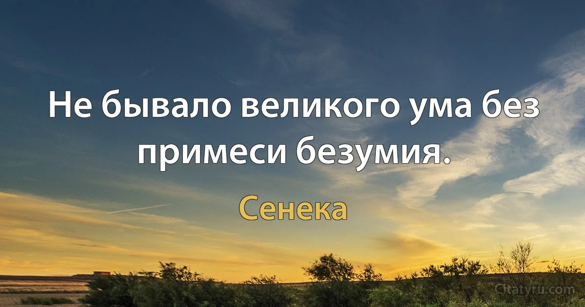 Не бывало великого ума без примеси безумия. (Сенека)