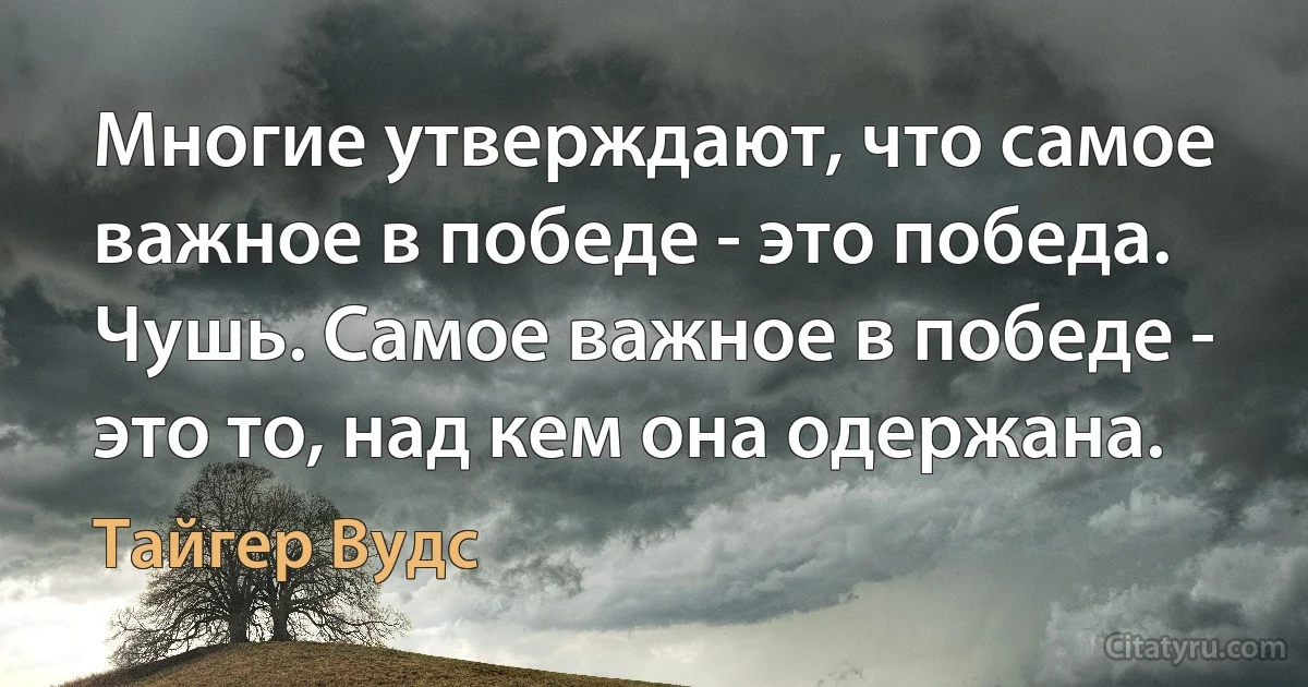 Многие утверждают, что самое важное в победе - это победа. Чушь. Самое важное в победе - это то, над кем она одержана. (Тайгер Вудс)