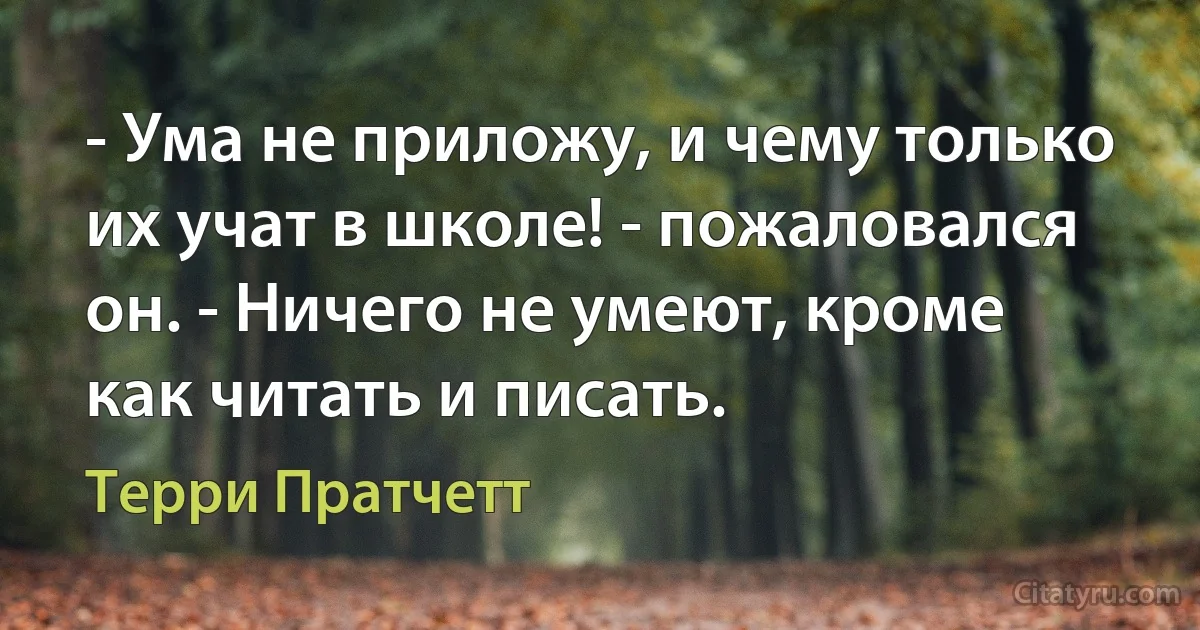 - Ума не приложу, и чему только их учат в школе! - пожаловался он. - Ничего не умеют, кроме как читать и писать. (Терри Пратчетт)