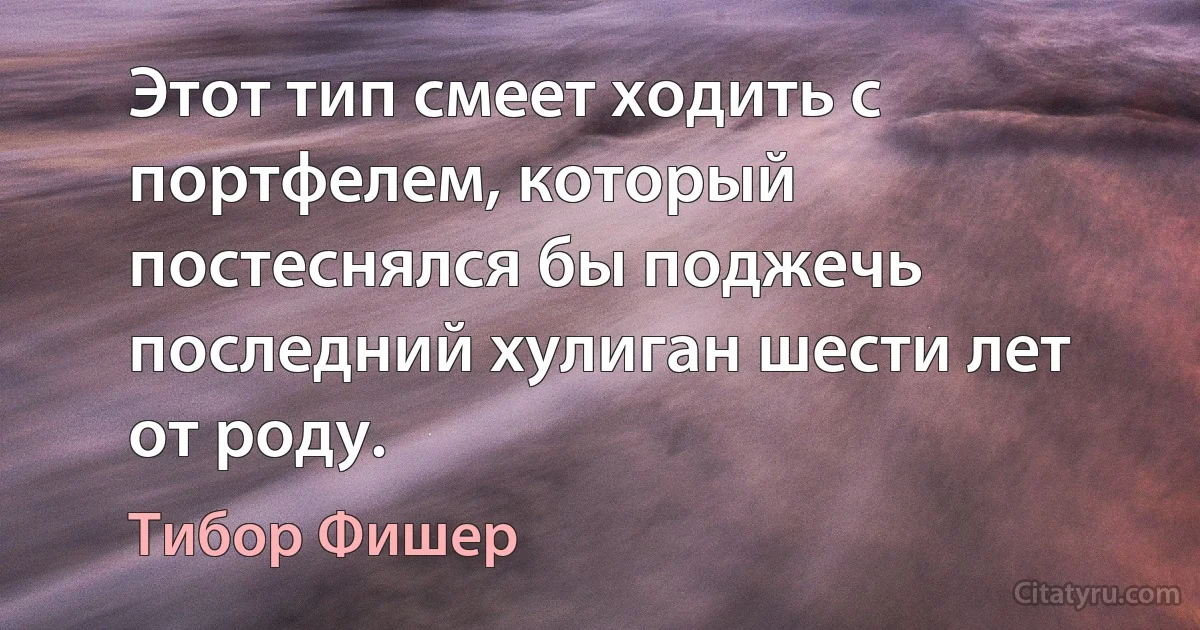 Этот тип смеет ходить с портфелем, который постеснялся бы поджечь последний хулиган шести лет от роду. (Тибор Фишер)