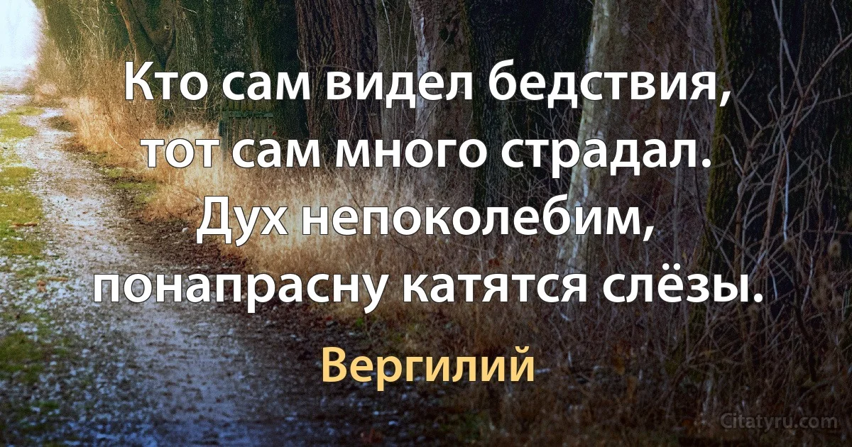 Кто сам видел бедствия, тот сам много страдал.
Дух непоколебим, понапрасну катятся слёзы. (Вергилий)