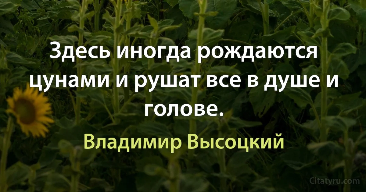 Здесь иногда рождаются цунами и рушат все в душе и голове. (Владимир Высоцкий)