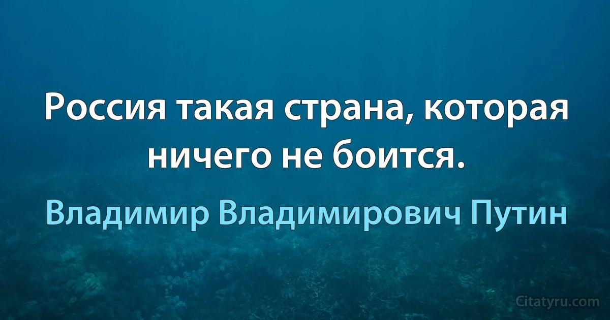 Россия такая страна, которая ничего не боится. (Владимир Владимирович Путин)