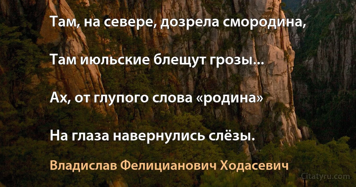 Там, на севере, дозрела смородина,

Там июльские блещут грозы...

Ах, от глупого слова «родина»

На глаза навернулись слёзы. (Владислав Фелицианович Ходасевич)