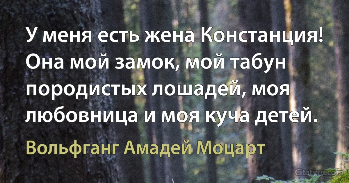 У меня есть жена Констанция! Она мой замок, мой табун породистых лошадей, моя любовница и моя куча детей. (Вольфганг Амадей Моцарт)