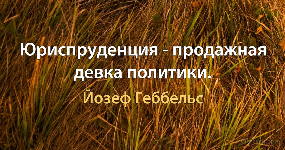 Юриспруденция - продажная девка политики. (Йозеф Геббельс)