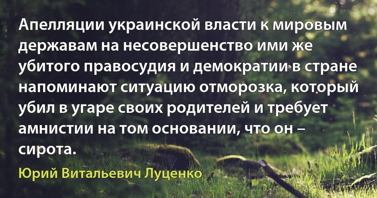 Апелляции украинской власти к мировым державам на несовершенство ими же убитого правосудия и демократии в стране напоминают ситуацию отморозка, который убил в угаре своих родителей и требует амнистии на том основании, что он – сирота. (Юрий Витальевич Луценко)