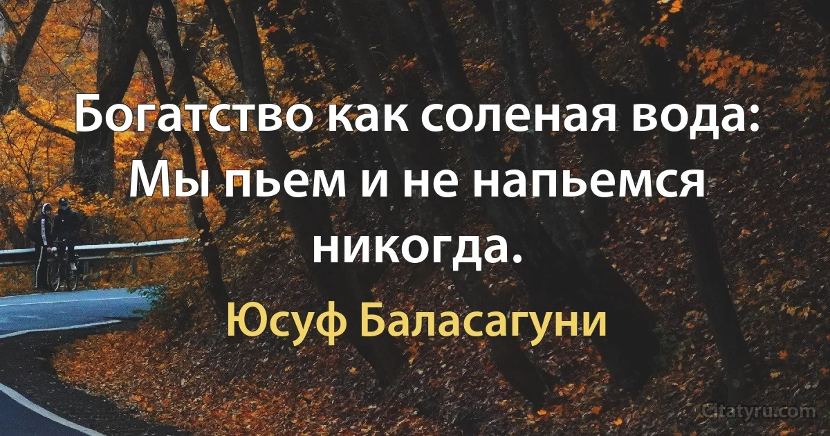 Богатство как соленая вода:
Мы пьем и не напьемся никогда. (Юсуф Баласагуни)