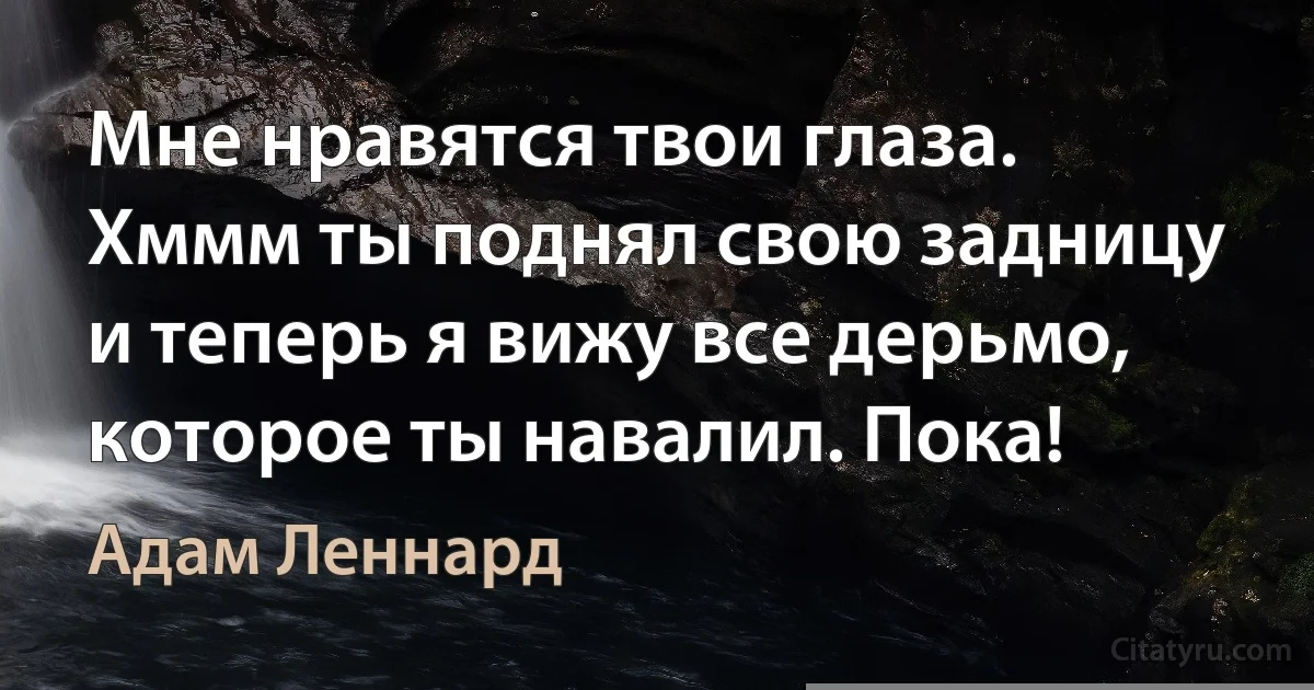 Мне нравятся твои глаза. Хммм ты поднял свою задницу и теперь я вижу все дерьмо, которое ты навалил. Пока! (Адам Леннард)