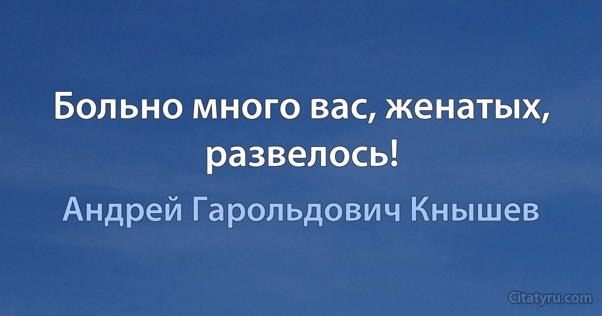 Больно много вас, женатых, развелось! (Андрей Гарольдович Кнышев)