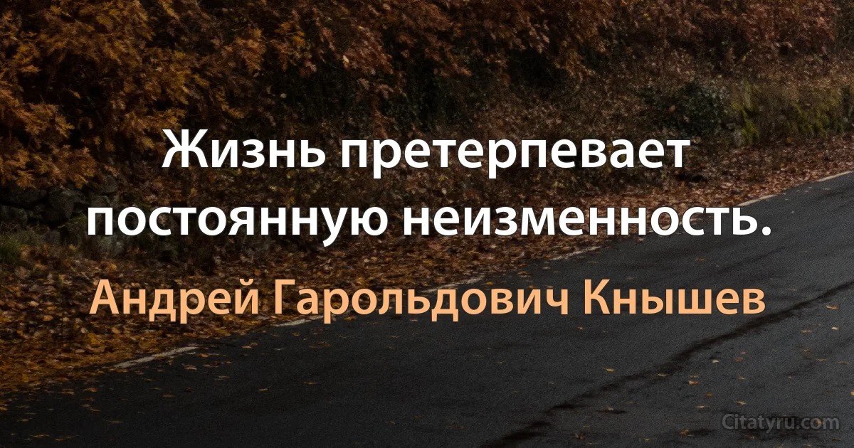 Жизнь претерпевает постоянную неизменность. (Андрей Гарольдович Кнышев)