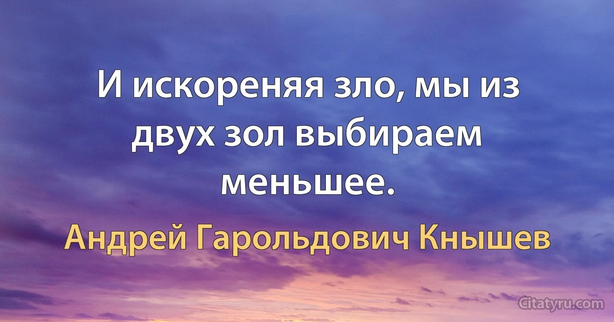 И искореняя зло, мы из двух зол выбираем меньшее. (Андрей Гарольдович Кнышев)