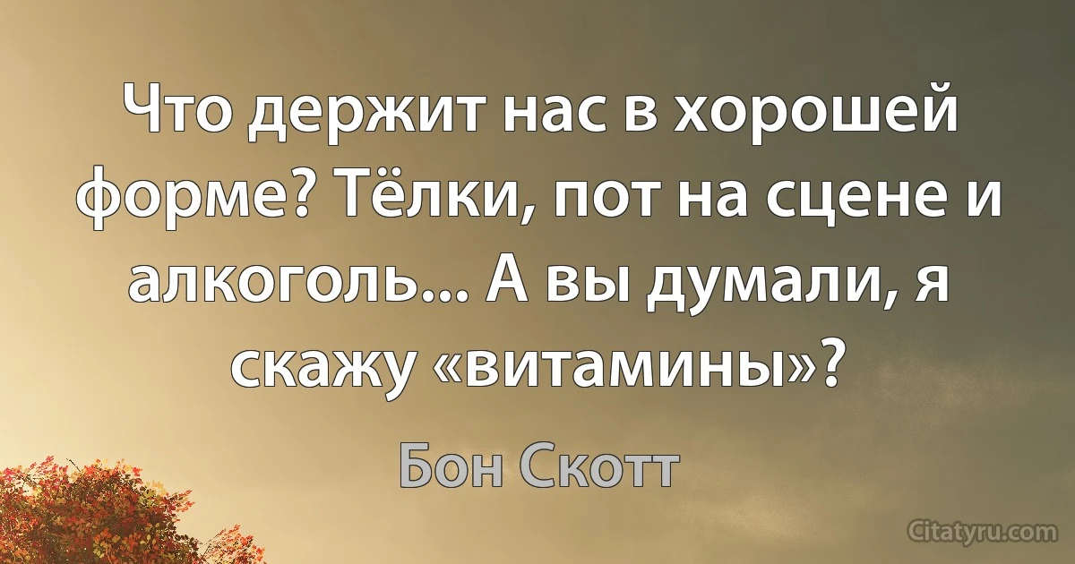 Что держит нас в хорошей форме? Тёлки, пот на сцене и алкоголь... А вы думали, я скажу «витамины»? (Бон Скотт)