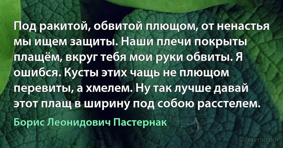 Под ракитой, обвитой плющом, от ненастья мы ищем защиты. Наши плечи покрыты плащём, вкруг тебя мои руки обвиты. Я ошибся. Кусты этих чащь не плющом перевиты, а хмелем. Ну так лучше давай этот плащ в ширину под собою расстелем. (Борис Леонидович Пастернак)