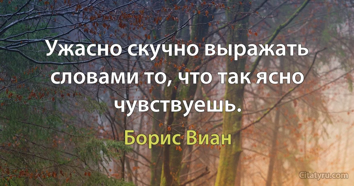 Ужасно скучно выражать словами то, что так ясно чувствуешь. (Борис Виан)