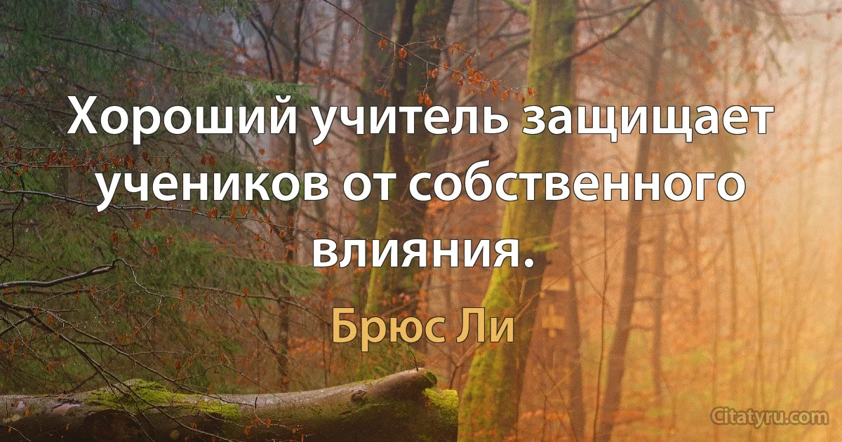 Хороший учитель защищает учеников от собственного влияния. (Брюс Ли)