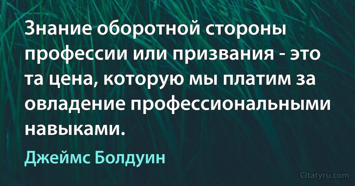 Знание оборотной стороны профессии или призвания - это та цена, которую мы платим за овладение профессиональными навыками. (Джеймс Болдуин)