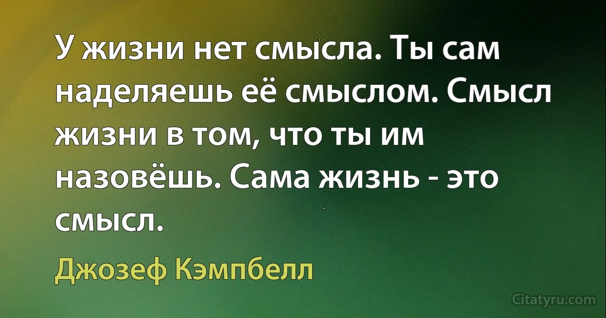 У жизни нет смысла. Ты сам наделяешь её смыслом. Смысл жизни в том, что ты им назовёшь. Сама жизнь - это смысл. (Джозеф Кэмпбелл)