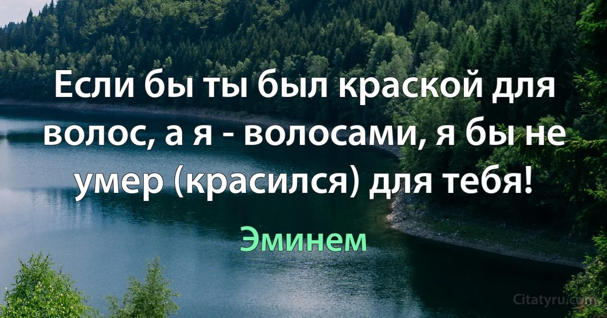 Если бы ты был краской для волос, а я - волосами, я бы не умер (красился) для тебя! (Эминем)