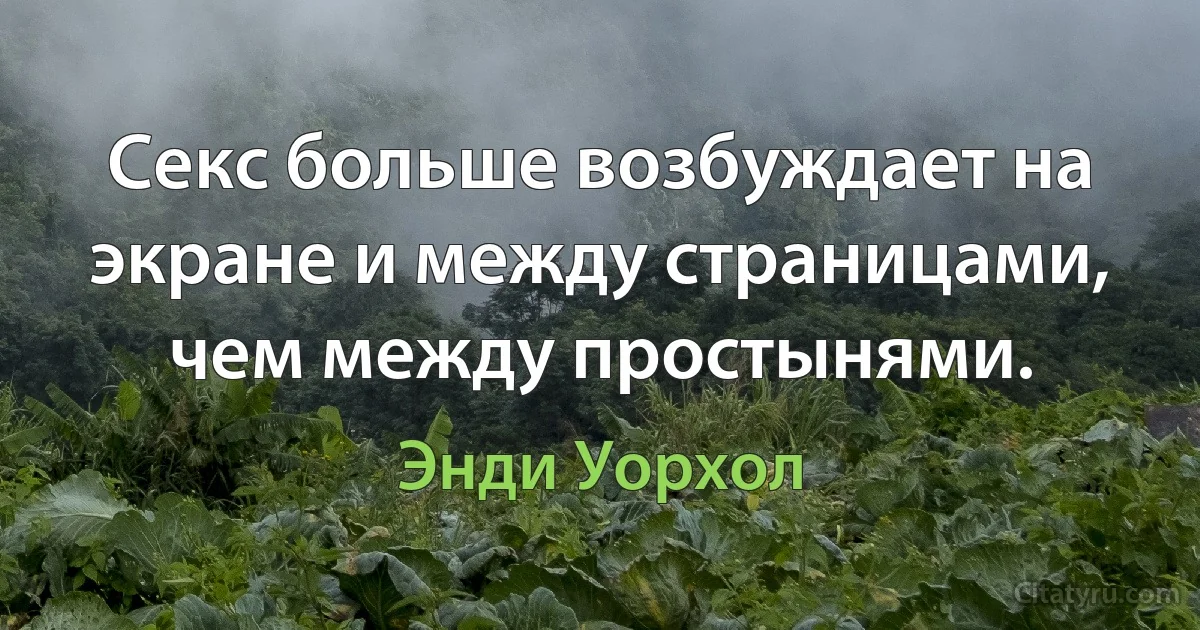 Секс больше возбуждает на экране и между страницами, чем между простынями. (Энди Уорхол)