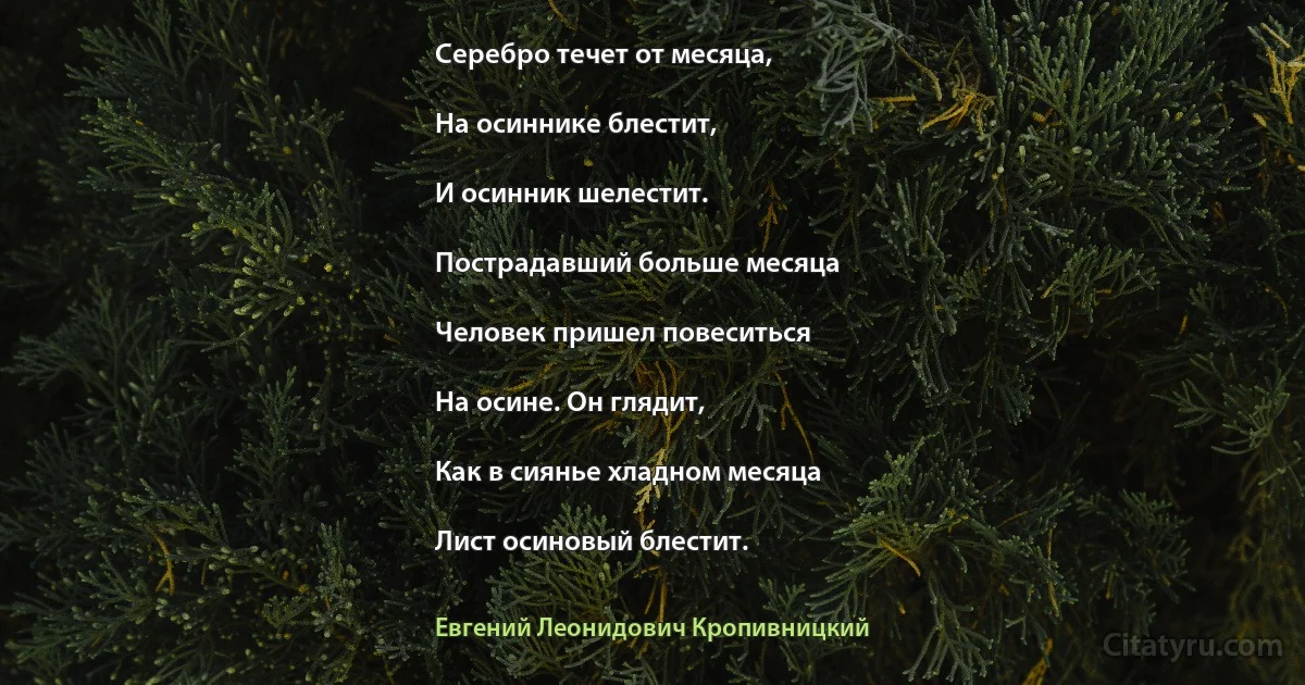 Серебро течет от месяца,

На осиннике блестит,

И осинник шелестит.

Пострадавший больше месяца

Человек пришел повеситься

На осине. Он глядит,

Как в сиянье хладном месяца

Лист осиновый блестит. (Евгений Леонидович Кропивницкий)