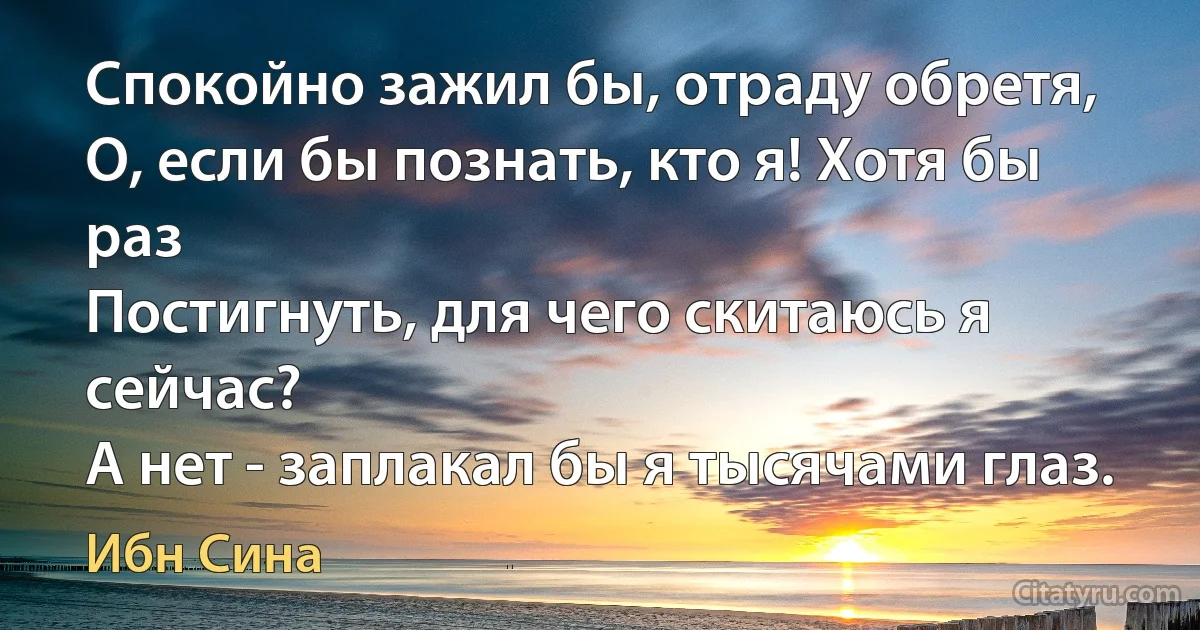 Спокойно зажил бы, отраду обретя,
О, если бы познать, кто я! Хотя бы раз
Постигнуть, для чего скитаюсь я сейчас?
А нет - заплакал бы я тысячами глаз. (Ибн Сина)