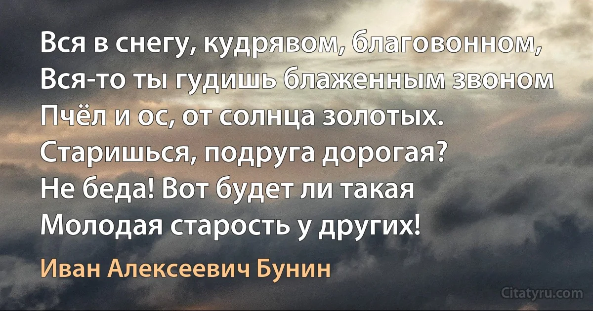 Вся в снегу, кудрявом, благовонном,
Вся-то ты гудишь блаженным звоном
Пчёл и ос, от солнца золотых.
Старишься, подруга дорогая?
Не беда! Вот будет ли такая
Молодая старость у других! (Иван Алексеевич Бунин)