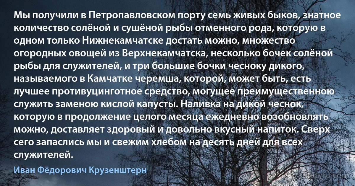 Мы получили в Петропавловском порту семь живых быков, знатное количество солёной и сушёной рыбы отменного рода, которую в одном только Нижнекамчатске достать можно, множество огородных овощей из Верхнекамчатска, несколько бочек солёной рыбы для служителей, и три большие бочки чесноку дикого, называемого в Камчатке черемша, которой, может быть, есть лучшее противуцинготное средство, могущее преимущественною служить заменою кислой капусты. Наливка на дикой чеснок, которую в продолжение целого месяца ежедневно возобновлять можно, доставляет здоровый и довольно вкусный напиток. Сверх сего запаслись мы и свежим хлебом на десять дней для всех служителей. (Иван Фёдорович Крузенштерн)