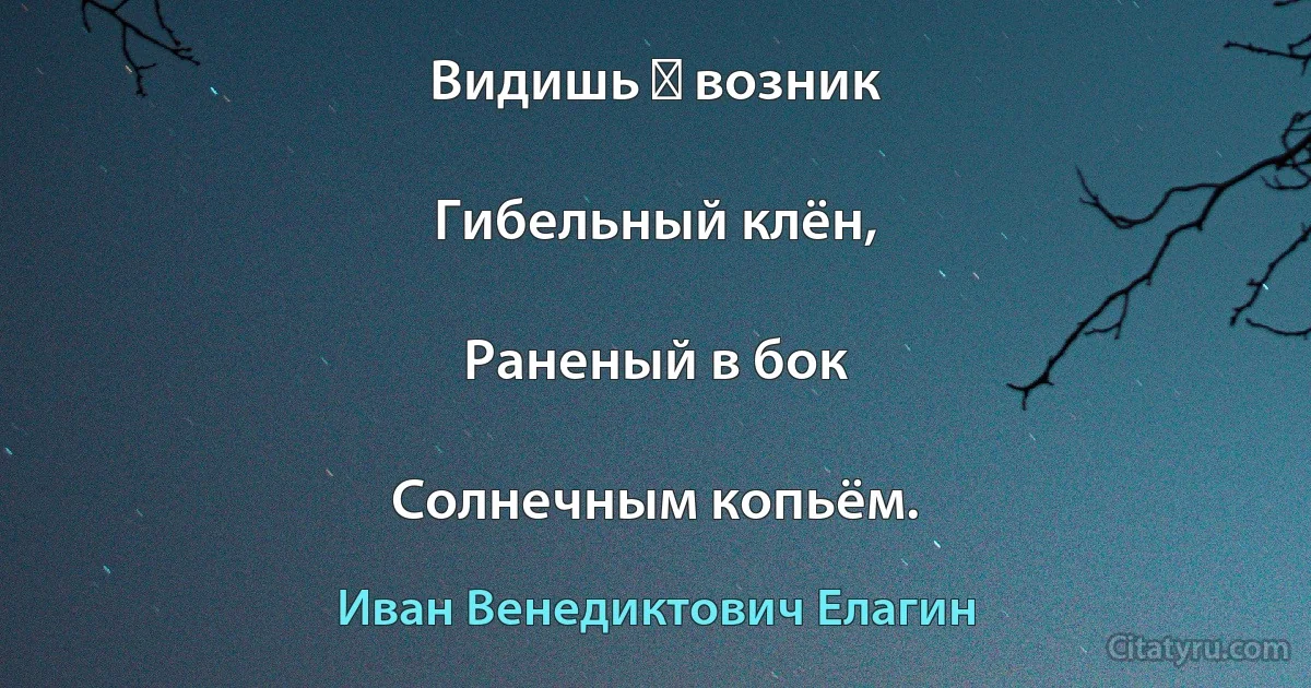 Видишь ― возник

Гибельный клён,

Раненый в бок

Солнечным копьём. (Иван Венедиктович Елагин)