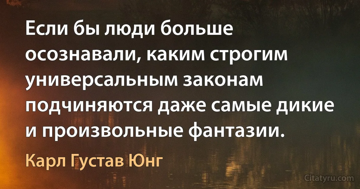 Если бы люди больше осознавали, каким строгим универсальным законам подчиняются даже самые дикие и произвольные фантазии. (Карл Густав Юнг)