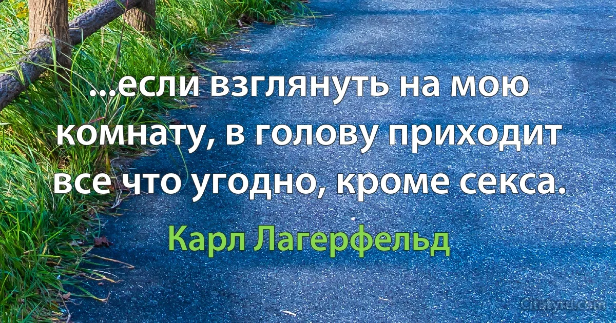 ...если взглянуть на мою комнату, в голову приходит все что угодно, кроме секса. (Карл Лагерфельд)