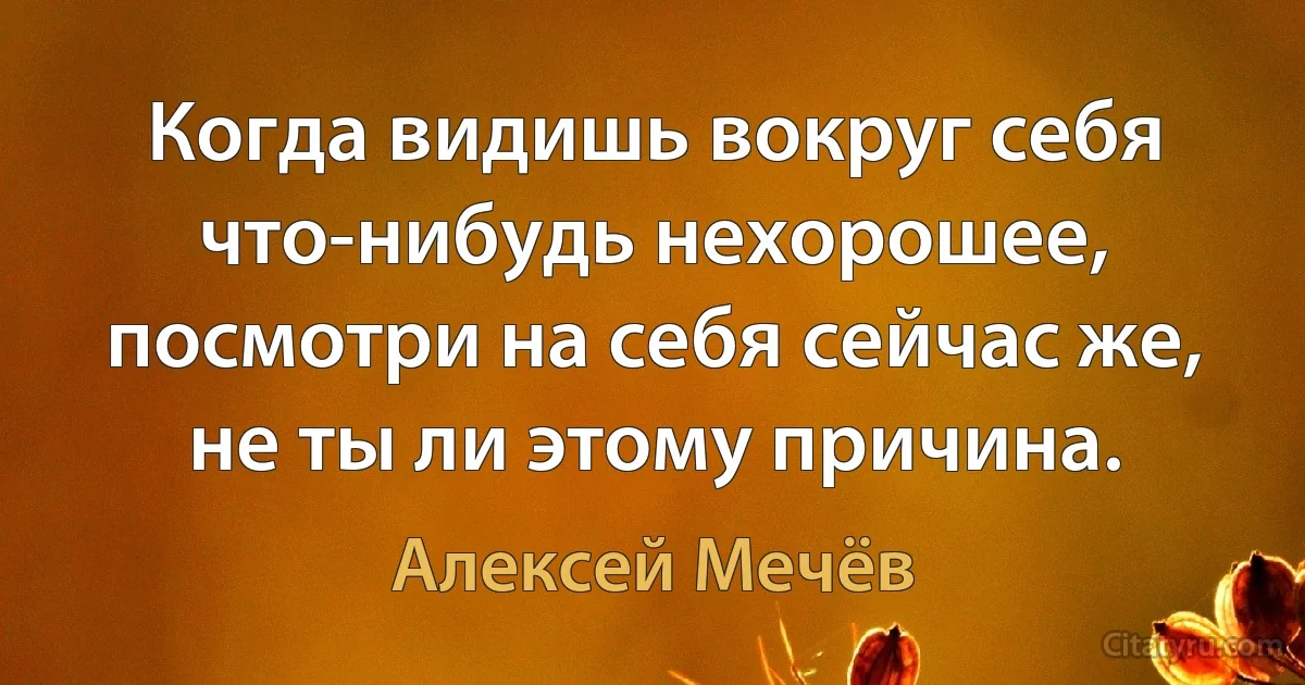 Когда видишь вокруг себя что-нибудь нехорошее, посмотри на себя сейчас же, не ты ли этому причина. (Алексей Мечёв)