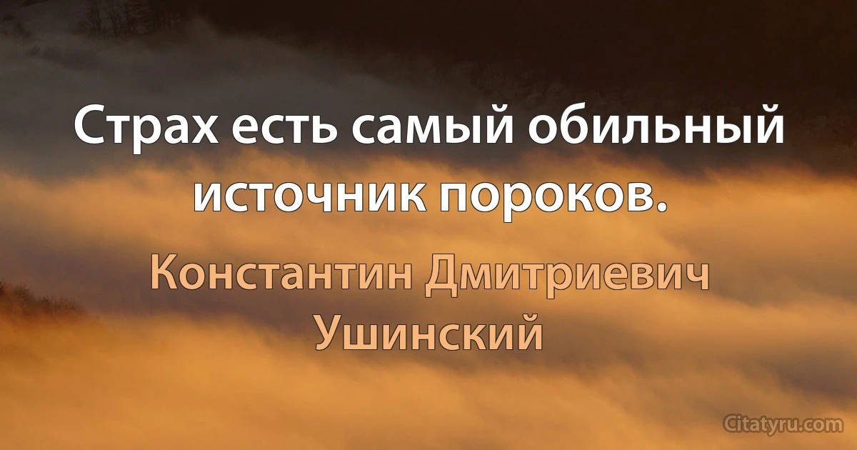 Страх есть самый обильный источник пороков. (Константин Дмитриевич Ушинский)