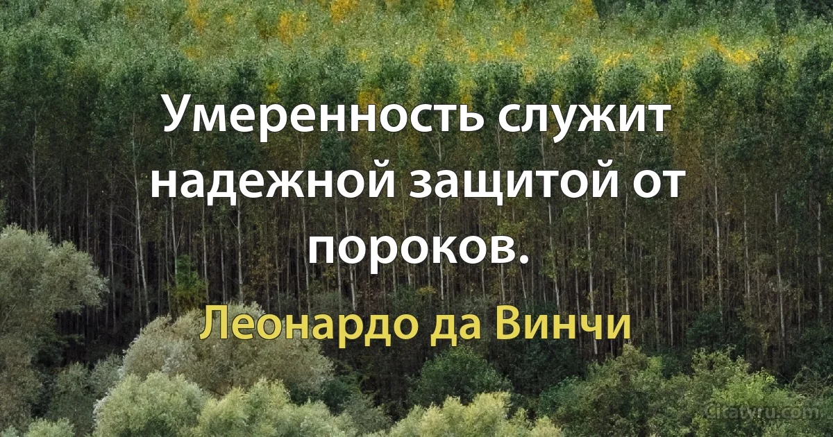 Умеренность служит надежной защитой от пороков. (Леонардо да Винчи)