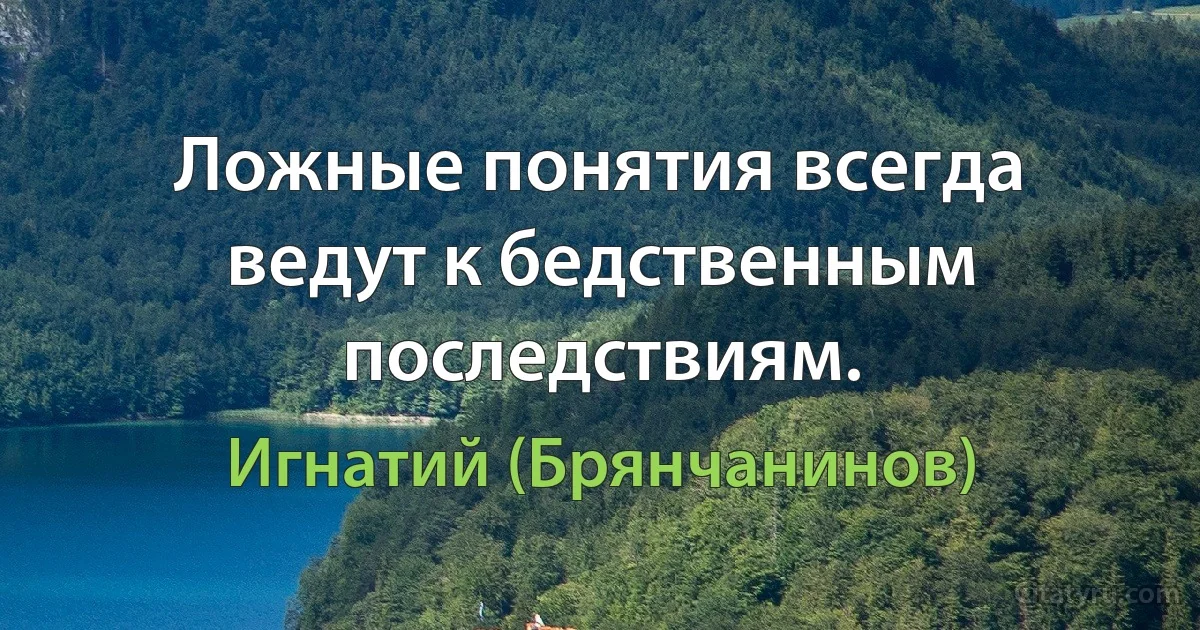 Ложные понятия всегда ведут к бедственным последствиям. (Игнатий (Брянчанинов))