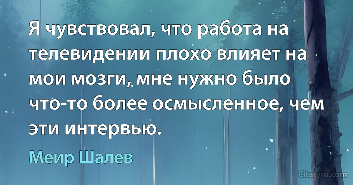 Я чувствовал, что работа на телевидении плохо влияет на мои мозги, мне нужно было что-то более осмысленное, чем эти интервью. (Меир Шалев)