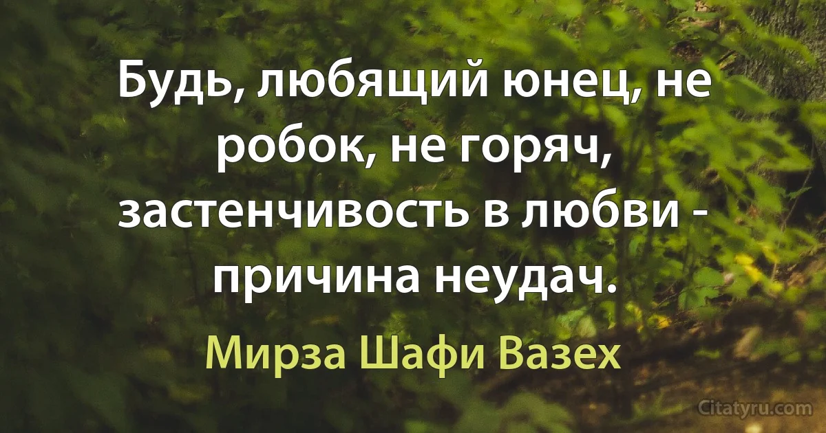 Будь, любящий юнец, не робок, не горяч, застенчивость в любви - причина неудач. (Мирза Шафи Вазех)