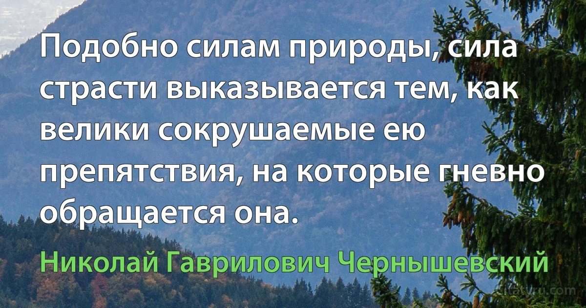 Подобно силам природы, сила страсти выказывается тем, как велики сокрушаемые ею препятствия, на которые гневно обращается она. (Николай Гаврилович Чернышевский)