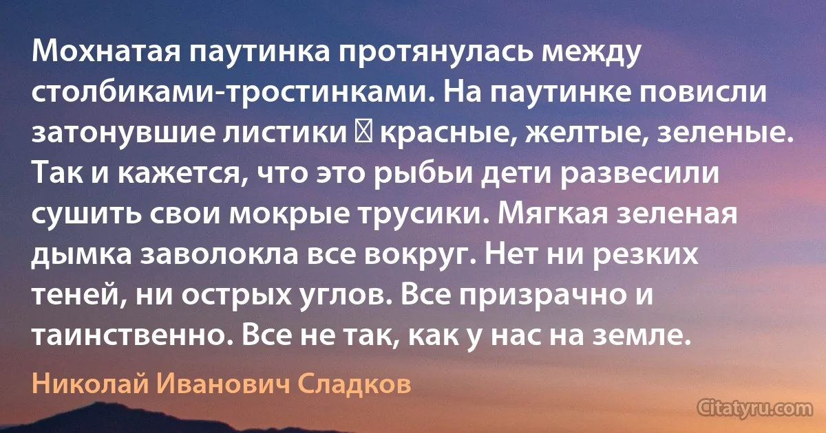 Мохнатая паутинка протянулась между столбиками-тростинками. На паутинке повисли затонувшие листики ― красные, желтые, зеленые. Так и кажется, что это рыбьи дети развесили сушить свои мокрые трусики. Мягкая зеленая дымка заволокла все вокруг. Нет ни резких теней, ни острых углов. Все призрачно и таинственно. Все не так, как у нас на земле. (Николай Иванович Сладков)