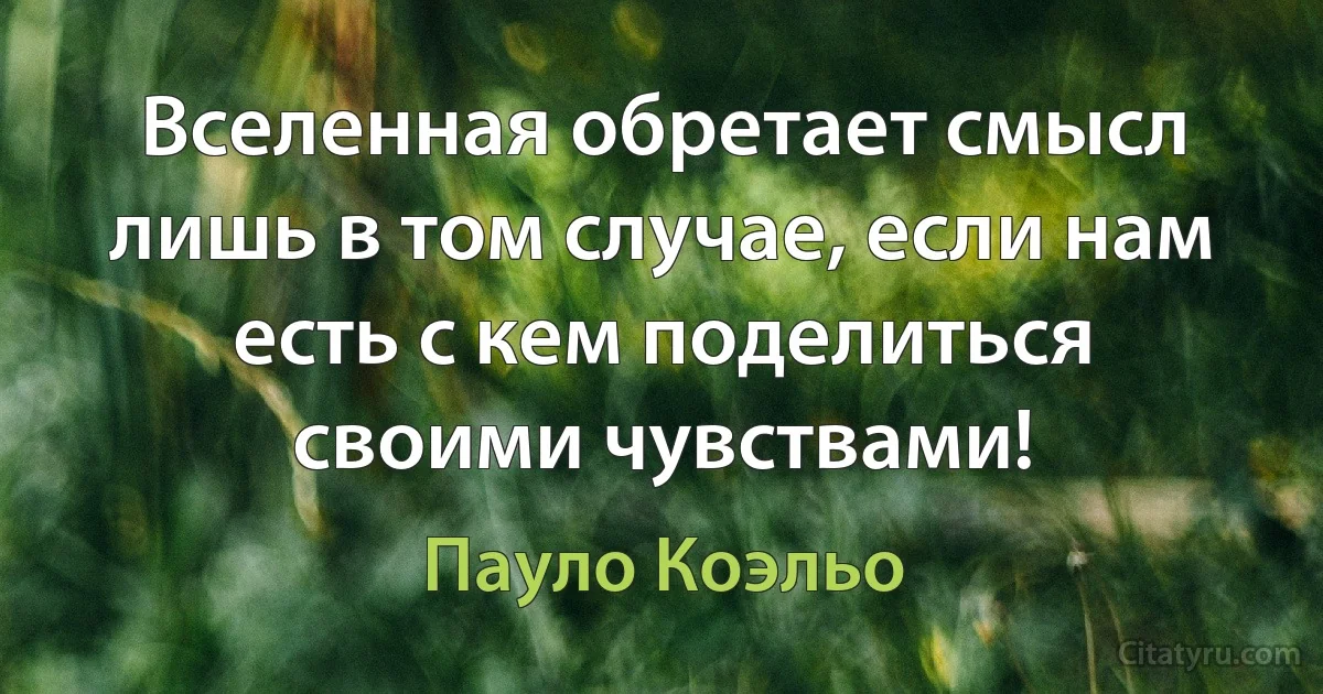 Вселенная обретает смысл лишь в том случае, если нам есть с кем поделиться своими чувствами! (Пауло Коэльо)