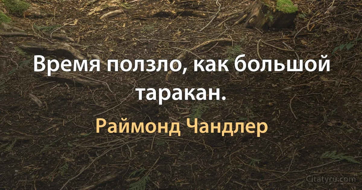 Время ползло, как большой таракан. (Раймонд Чандлер)