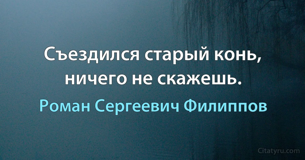 Съездился старый конь, ничего не скажешь. (Роман Сергеевич Филиппов)