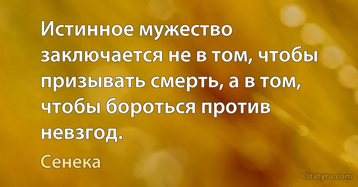 Истинное мужество заключается не в том, чтобы призывать смерть, а в том, чтобы бороться против невзгод. (Сенека)