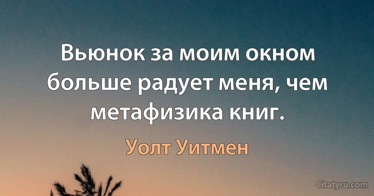 Вьюнок за моим окном больше радует меня, чем метафизика книг. (Уолт Уитмен)