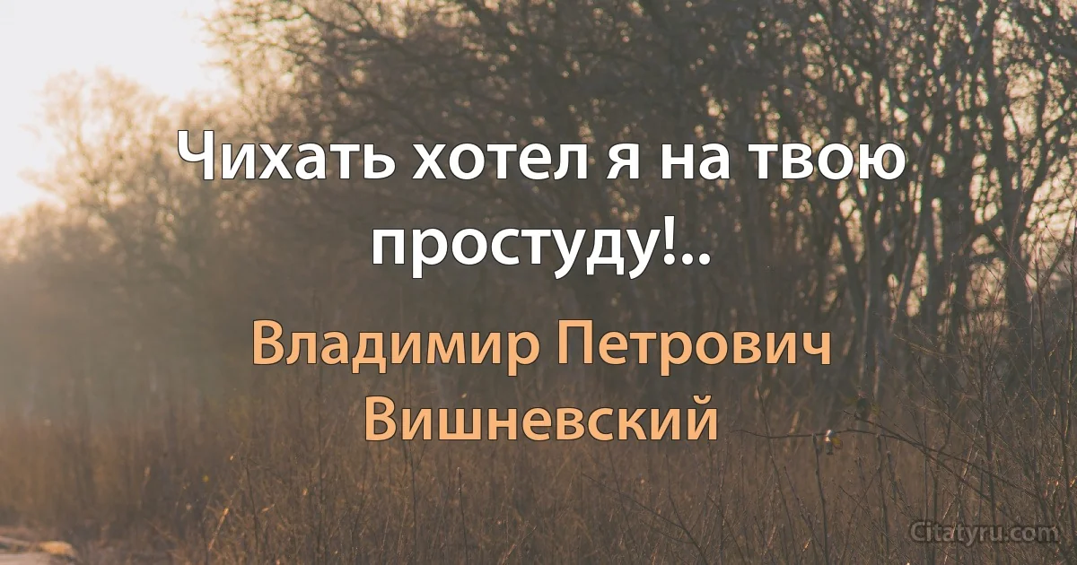 Чихать хотел я на твою простуду!.. (Владимир Петрович Вишневский)